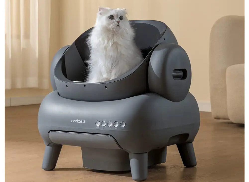 🐾 Litière automatique : bonne ou mauvaise idée ?