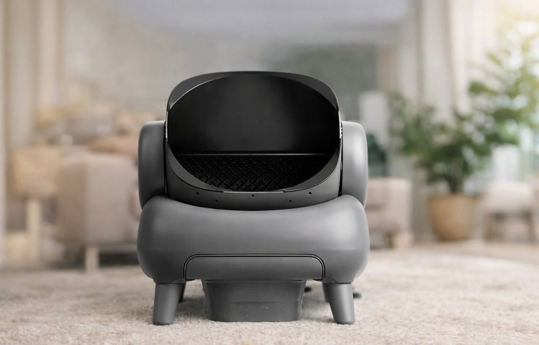 🐾 Pourquoi investir dans une litière automatique ?