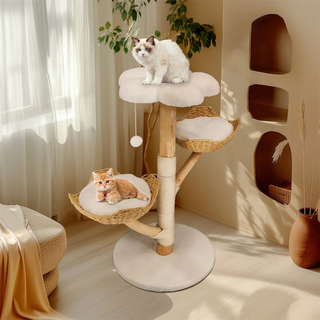 Arbre à Chat Luxe en bois massif