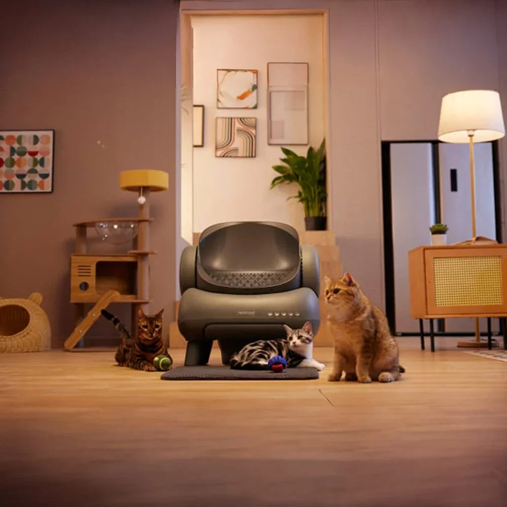 Neakasa M1 – La litière automatique intelligente qui nettoie seule, sans odeur